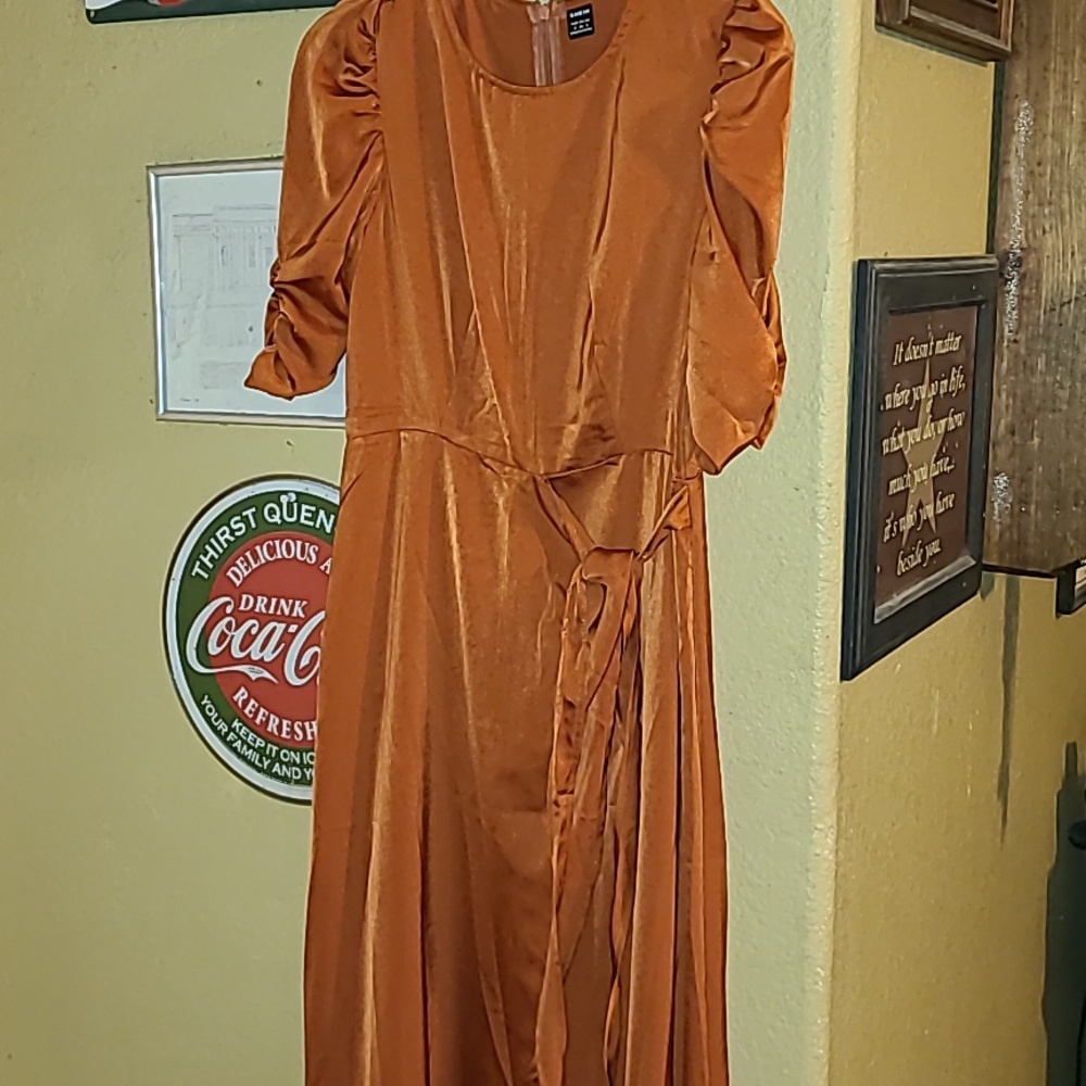Rust colored Dress